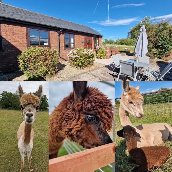 Swallows Nest Guest House - With Hot Tub Abergavenny Bagian luar foto